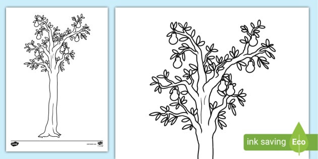 Pear Tree Colouring Sheet