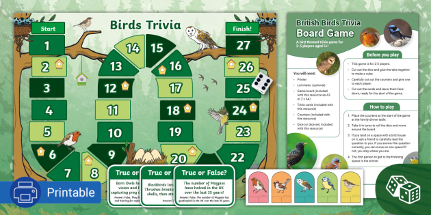* NEW * British Birds Printable Trivia Board Game for Children