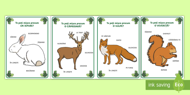 Mișcările Animalelor De Pădure Cartonașe Teacher Made