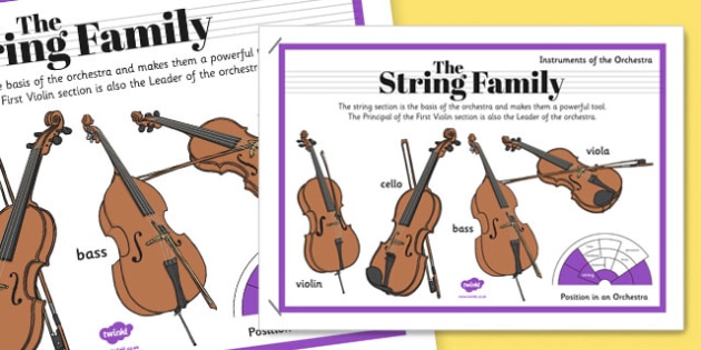 Orchestra Instruments String Family Poster - orchestra, instruments, string