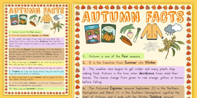 Autumn Information Poster creat De Profesori 