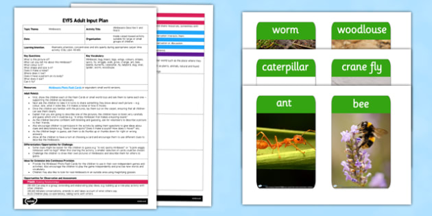 Minibeasts Describe It and Find It EYFS Adult Input Plan and Resource Pack