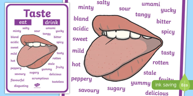 Taste Vocabulary Poster Primary Resources Twinkl