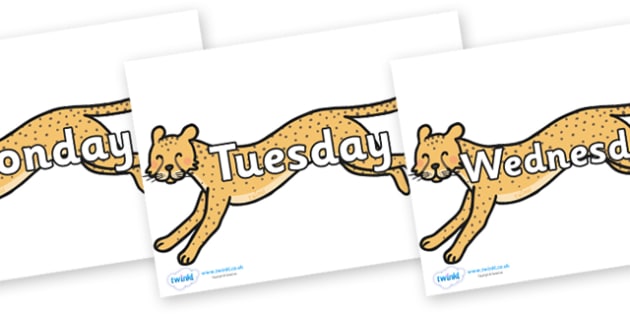 Days of the Week on Cheetahs