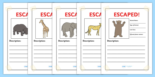 Escaped animal essay picture