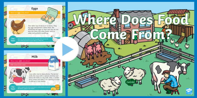 Where Does Food Come From Ppt