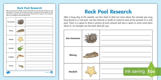 FREE! - Rock Pool Habitat Worksheet | Science | Primary Resources