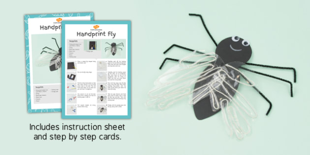 House Fly Craft Instructions - Teacher-made Primary Resource