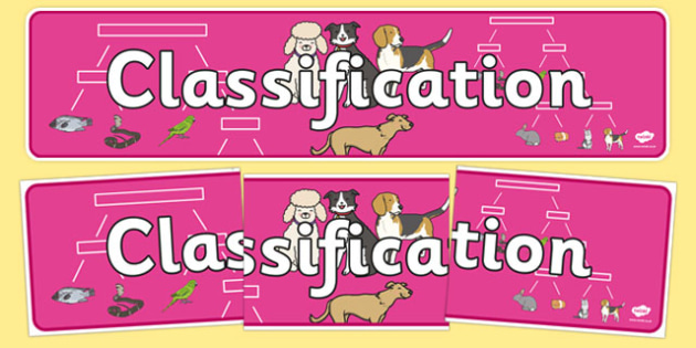 FREE! - Classification Display Banner (teacher Made)