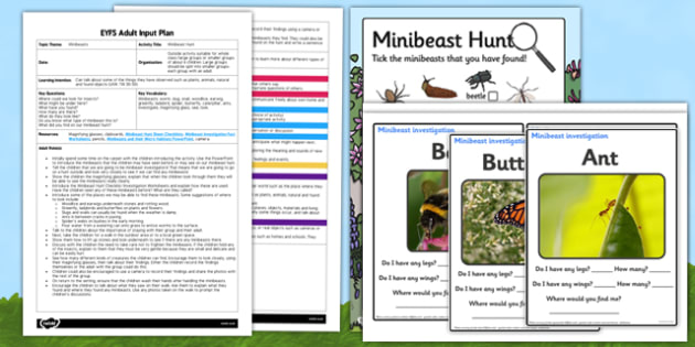 Minibeast Hunt EYFS Adult Input Plan and Resource Pack - adult focus