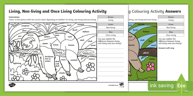 Living, Non-living and Once Living Colouring Activity