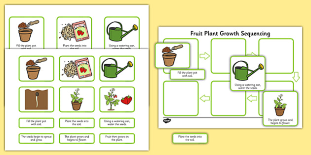 Plant Growth Sequencing Activity - plants, flowers, grow