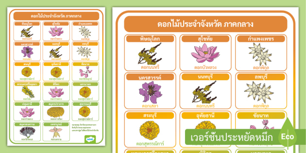 Thai Provincial Flowers Poster - Central Region