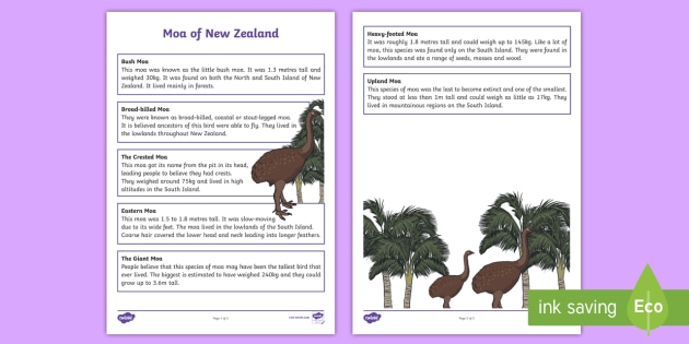 Moa Of New Zealand Fact Sheet Teacher Made
