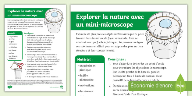 Fiche De Travail Sur Les Parties D'un Microscope Pour Les Enfants Les