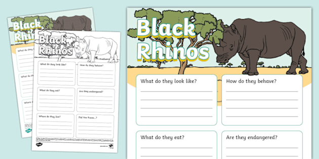 Black Rhino Fact File Template