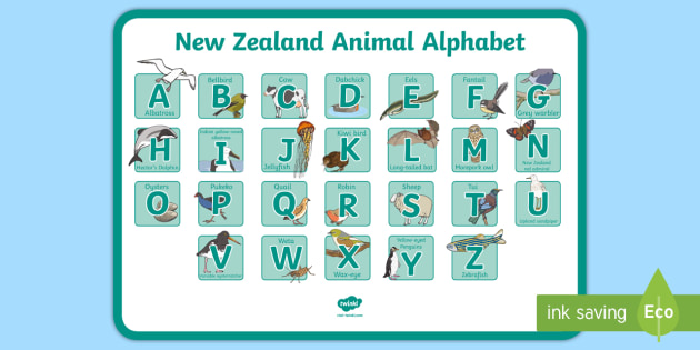 new-zealand-alphabet-display-poster-teacher-made