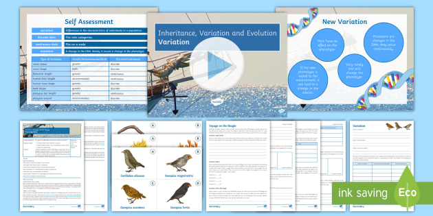 aqa-inheritance-variation-and-evolution-lesson-6-variation