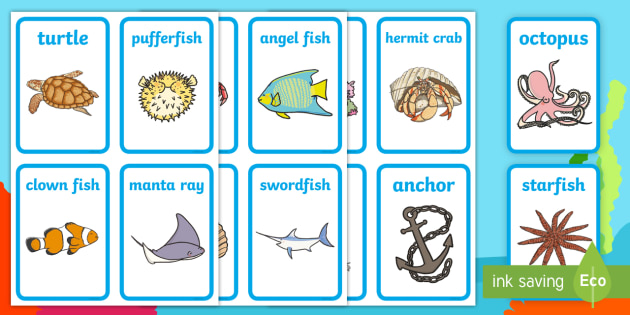 Sea Animals Flashcards | Under the Sea | Teaching Resources