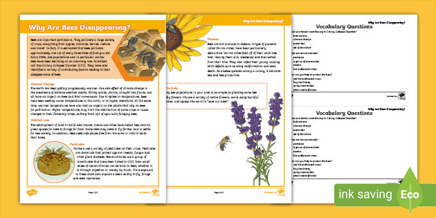 The Disappearance of Bees Fact File - Grades 4-6