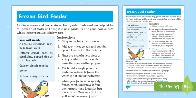 Frozen Bird Feeder Craft Instructions Teacher Made