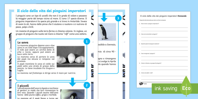 I Pinguini Imperatori Lettura Differenziata Teacher Made
