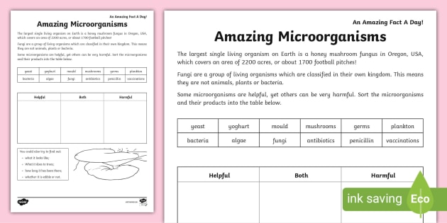 Microorganisms, Free Full-Text