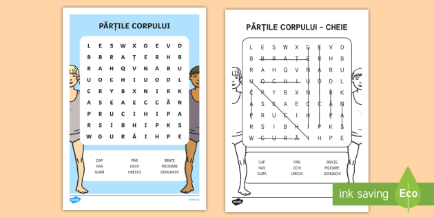 Părțile Corpului Careu De Cuvinte Teacher Made