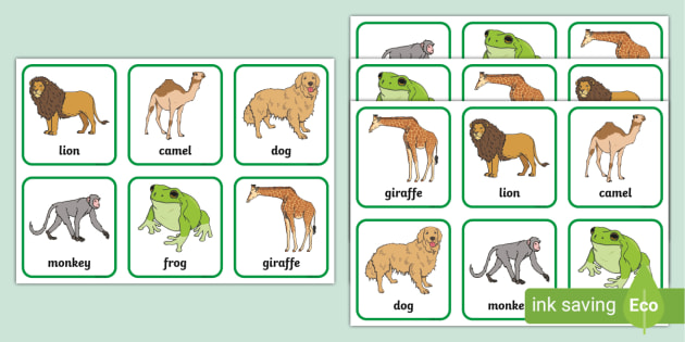 Zoo Animals Matching Cards (teacher made) - Twinkl