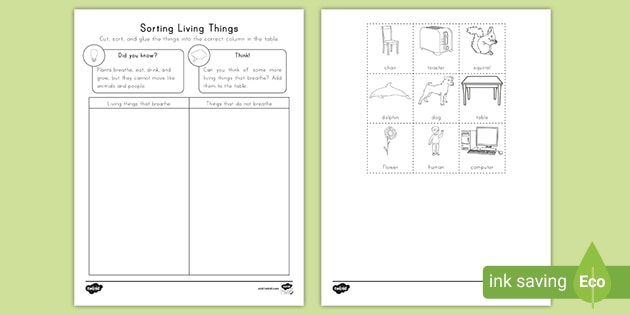 Characteristics of Living Things Worksheet - Breath