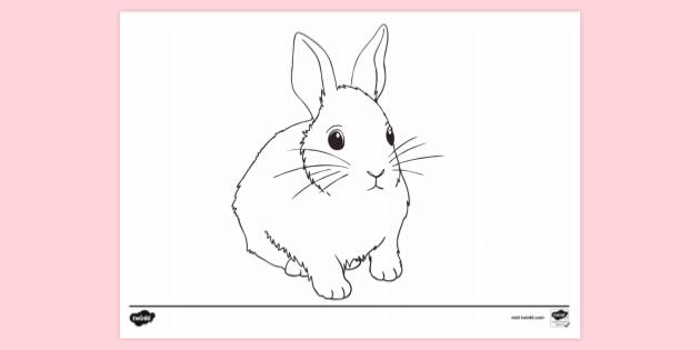 Free! - Baby Rabbit Colouring Sheet | Colouring Sheets | Twinkl