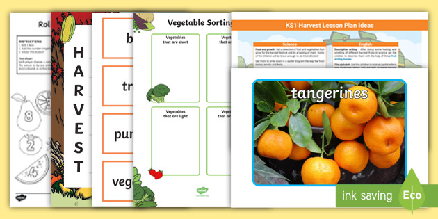 KS1 Harvest Activities Pack (teacher made)