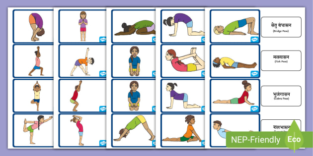 SPORTAXIS Yoga Poses Poster- 64 Yoga Asanas for Full Body Workout-  Laminated Home Workout Poster with Colored Illustrations - English and  Sanskrit Names - 18