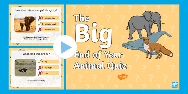 The Big End of Year Animal PowerPoint | KS1 Quiz - Twinkl
