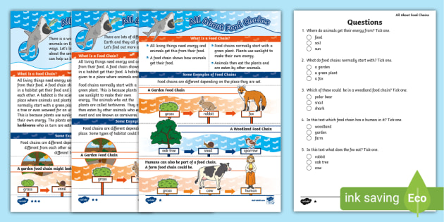 KS1 Food Chains Differentiated Reading Comprehension