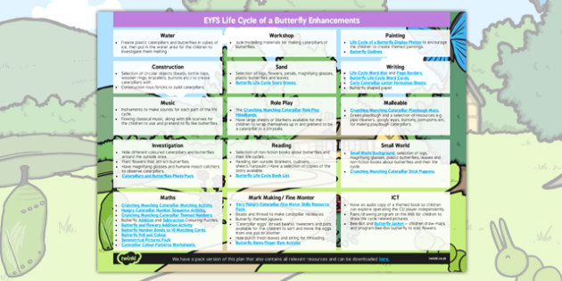EYFS Life Cycle of a Butterfly Enhancement Ideas