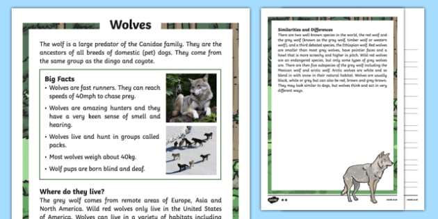 Wolf activity sheets picture