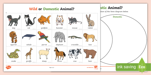 Wild or Domestic Animal? Sorting Activity (teacher made)