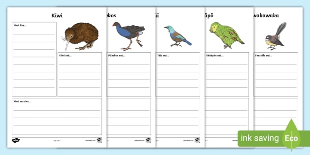 Birds Chart for Kids