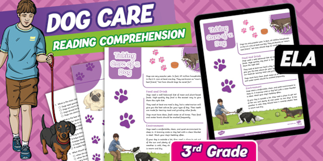 How to Take Care of a Dog Reading Worksheet Twinkl USA