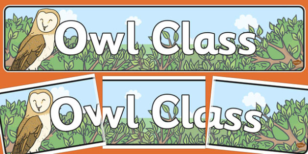 Owl Themed Classroom Display Banner Teacher Made
