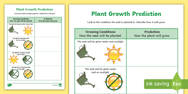 Living things - Definition, Characteristics and Examples