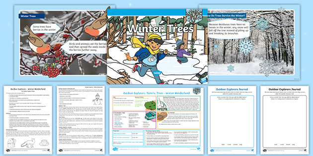 Outdoor Explorers EYFS Winter Lesson 2 Winter Trees