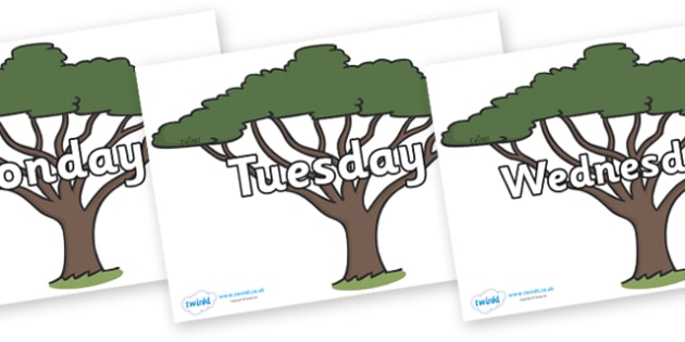 Days of the Week on Acacia Trees