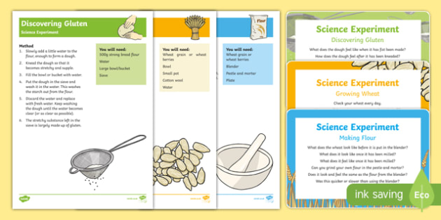 EYFS The Little Red Hen Science Experiments Resource Pack