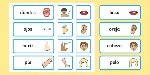 Bingo infantil: Partes del cuerpo (Teacher-Made) - Twinkl