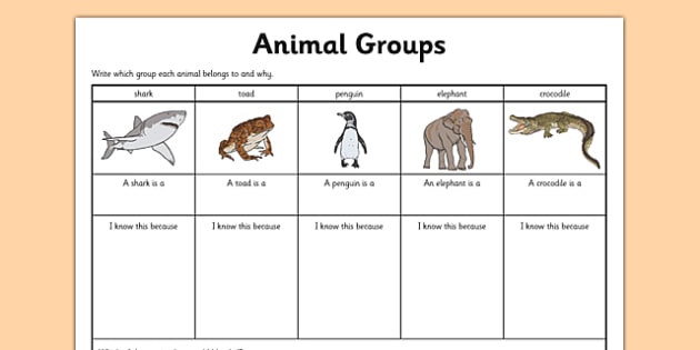 classification grade worksheet animal 4th Animal Worksheet  classifying animals, grouping Group