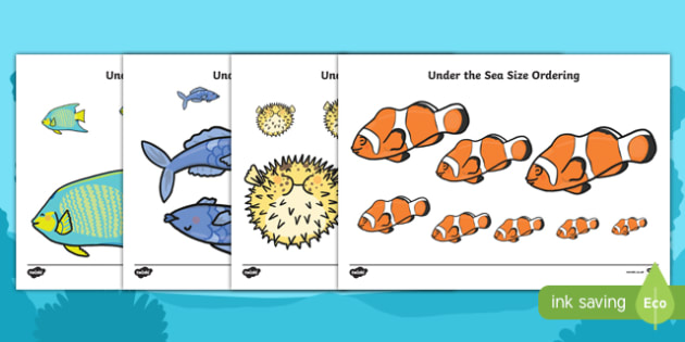 sea animal size chart