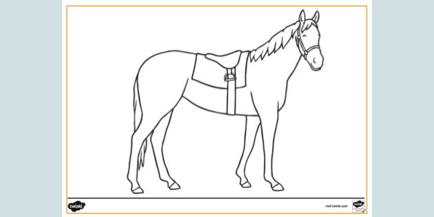 FREE! - Pinto Horse Colouring Page | Colouring Sheets