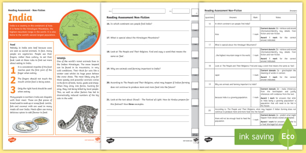 Year 3 Term 3 Non Fiction Reading Assessment Teacher Made